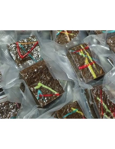 BROWNIE. REPOSTERIA CANINA