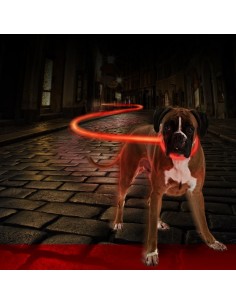 COLLAR LED PERRO PEQUEÑO 2