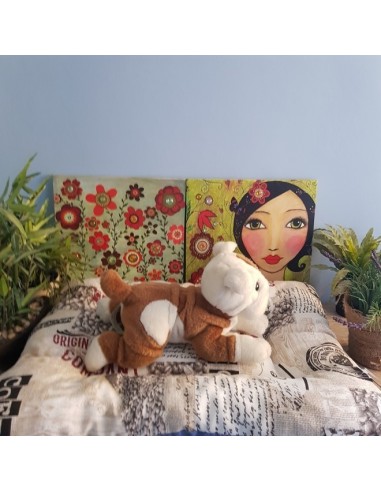 COLCHONETA ESTAMPADA ECONOMICA