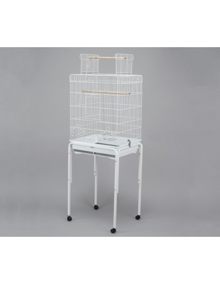 JAULA AGAPORNIS Y NINFAS