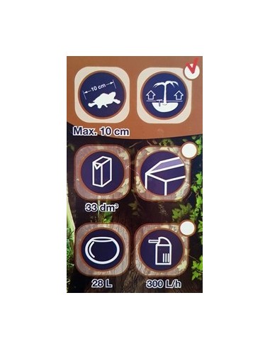 TORTUGUERA DE CRISTAL CON PLAYA Y... TORTUGUERA DE CRISTAL CON PLAYA Y...