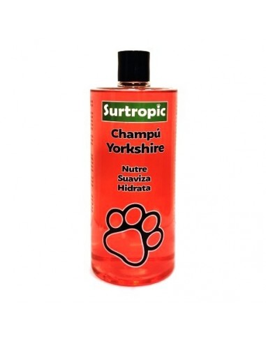 CHAMPU YORKSHIRES SURTROPIC