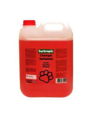 CHAMPU YORKSHIRES SURTROPIC