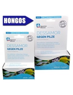 INFECCIONES POR HONGOS. DESSAMOR