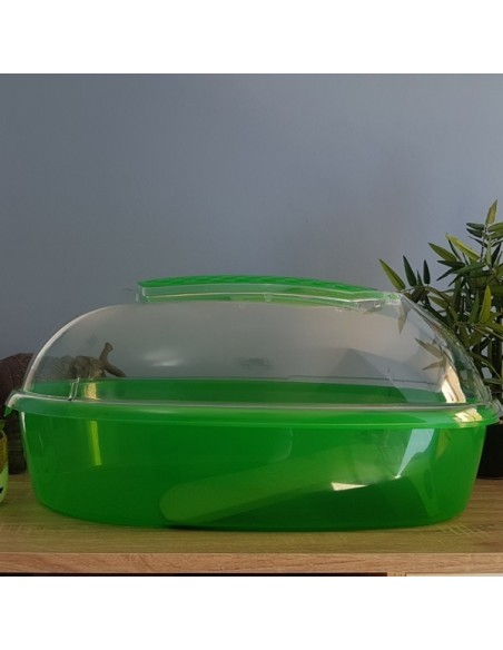 TORTUGUERA VILLADUVO