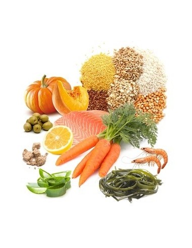 VEGETABLE TABLET PRODAC