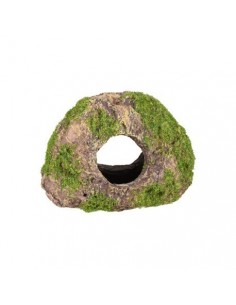 PIEDRA CON AGUJERO