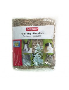 HENO EUCALIPTO 500G