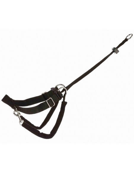 ARNES ENTRENAMIENTO ARNES ENTRENAMIENTO