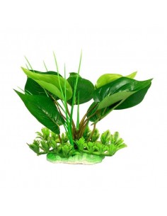 PLANTA VERDE 15 CM
