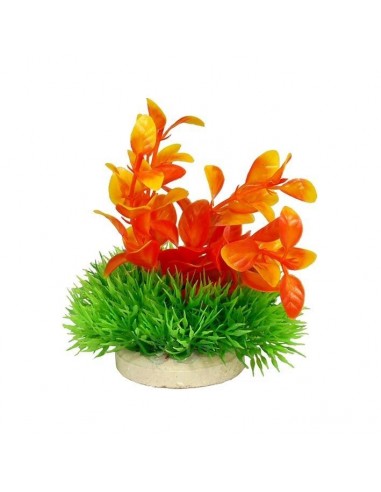 PLANTA COLORES 10 CM Nº3