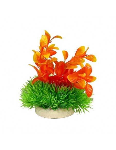 PLANTA COLORES 10 CM Nº3