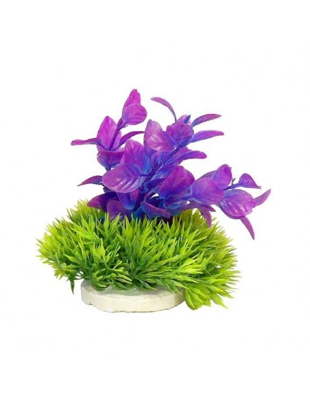 PLANTA COLORES 10 CM Nº3