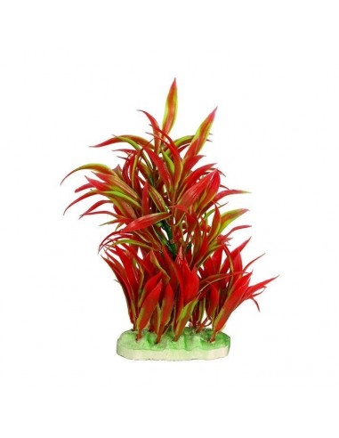 PLANTA COLORES 20 CM