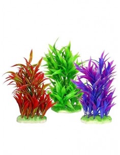 PLANTA COLORES 20 CM