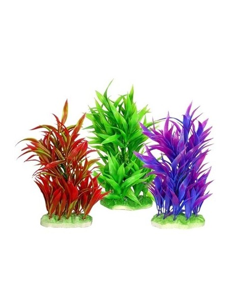 PLANTA COLORES 20 CM