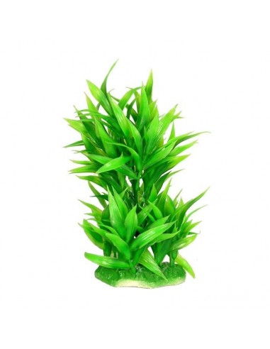 PLANTA COLORES 20 CM