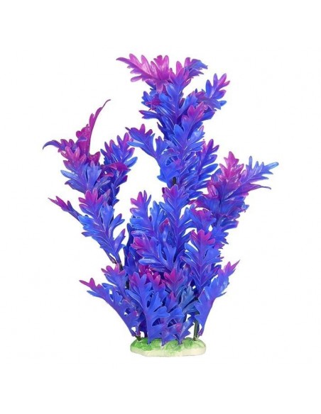 PLANTA COLORES 30 CM PLANTA COLORES 30 CM