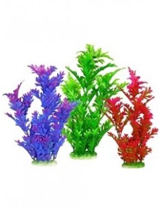 PLANTA COLORES 30 CM