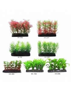 PLANTA PRIMER PLANO