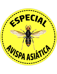 INSECTICIDA AVISPAS Y AVISPEROS