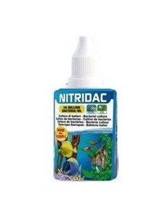 CULTIVO DE BACTERIAS NITRIDAC 2