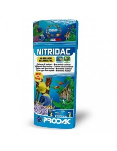 CULTIVO DE BACTERIAS NITRIDAC