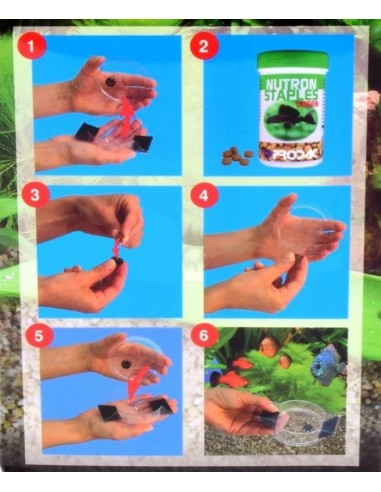 TRAMPA PARA CARACOLES