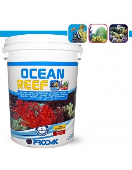 SAL CON CALCIO "OCEAN REEF"