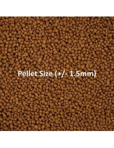 ALIMENTO COMPLETO PARA PECES BETTA 2
