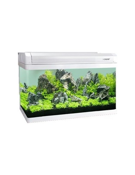 ACUARIO COMPLETO 100 CM BLANCO ACUARIO COMPLETO 100 CM BLANCO