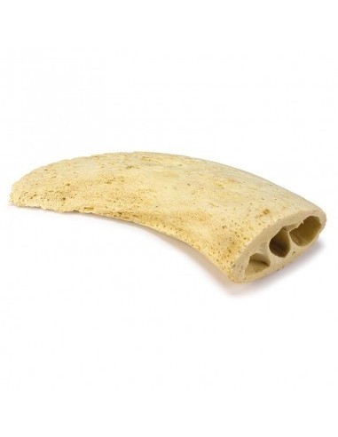 NUCLEO DE CUERNO DE BUFALO