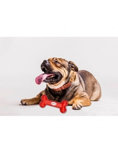 HUESO GOMA DURA 18 CM