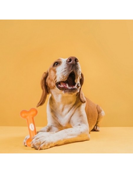 HUESO GOMA DURA 18 CM