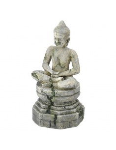 RUINA ACUARIO BAYON BOUDDHA