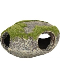 PIEDRA REFUGIO CON MUSGO