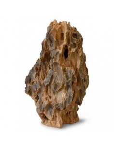 ROCA DRAGON 2