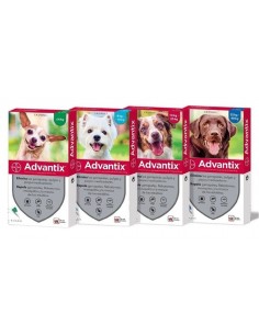 PIPETA ADVANTIX PERRO (4 PIPETAS) BAYER