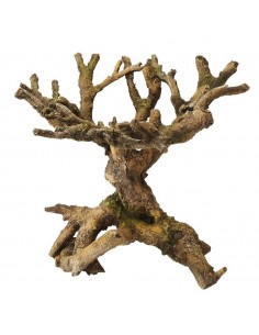 DECORACION BONSAI SIN HOJAS