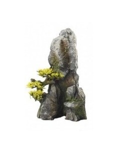ROCA CON BONSAI 2