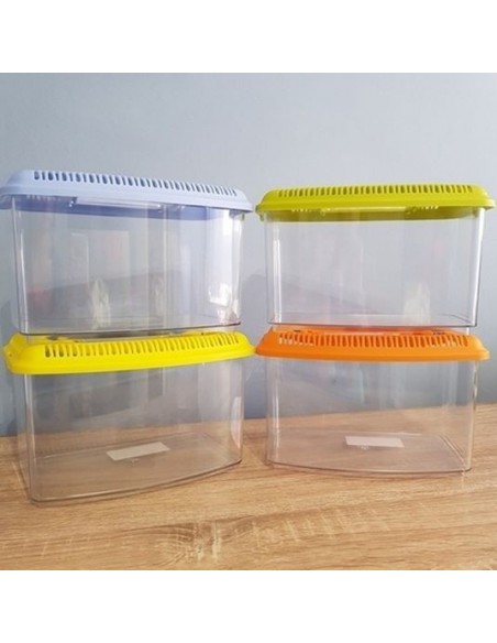 TRANSPORTIN TRANSPARENTE