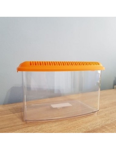 TRANSPORTIN TRANSPARENTE